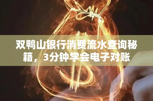 双鸭山银行消费流水查询秘籍，3分钟学会电子对账