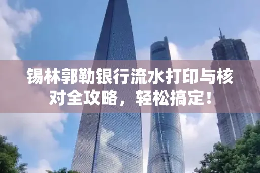 锡林郭勒银行流水打印与核对全攻略，轻松搞定！