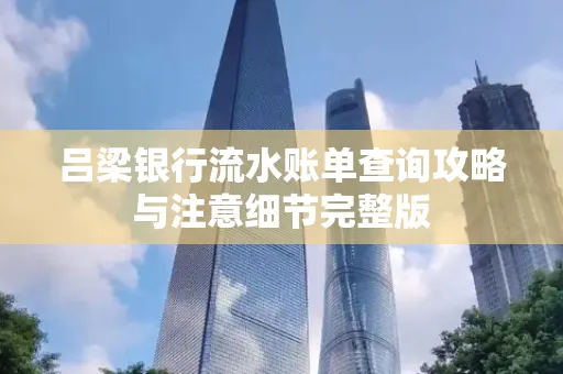吕梁银行流水账单查询攻略与注意细节完整版