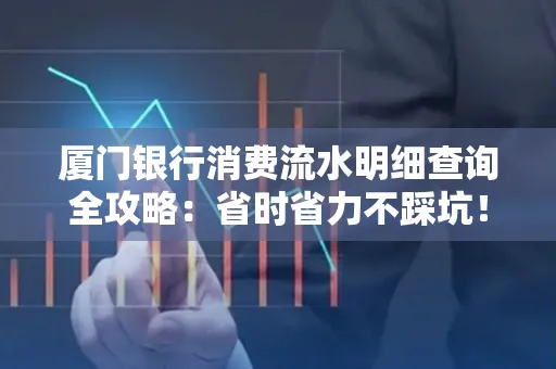 厦门银行消费流水明细查询全攻略：省时省力不踩坑！