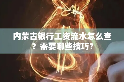 内蒙古银行工资流水怎么查？需要哪些技巧？