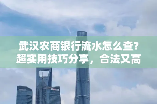 武汉农商银行流水怎么查？超实用技巧分享，合法又高效！